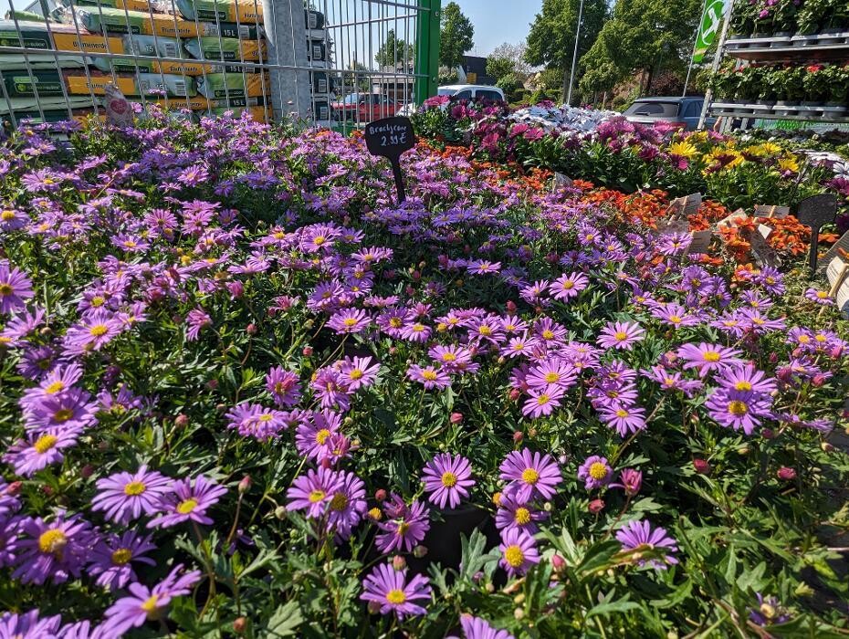 Bilder Raiffeisen-Markt Sonsbeck