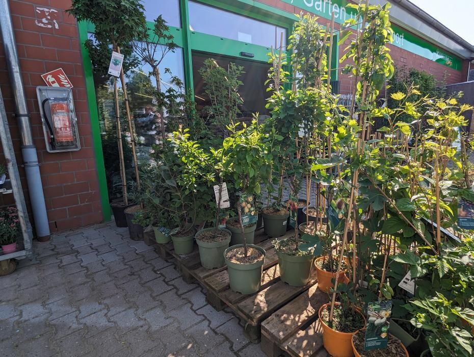 Bilder Raiffeisen-Markt Sonsbeck