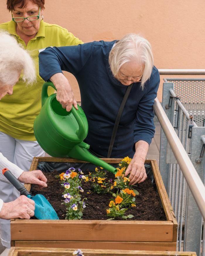 Bilder Margeritenhof, tegeler Pflege & Gesundheit