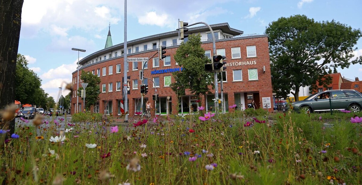 Bilder auric Hörsysteme