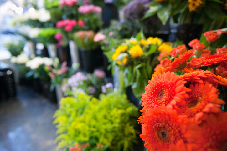 Bilder P S Blumen Inh. Petra Schleßelmann