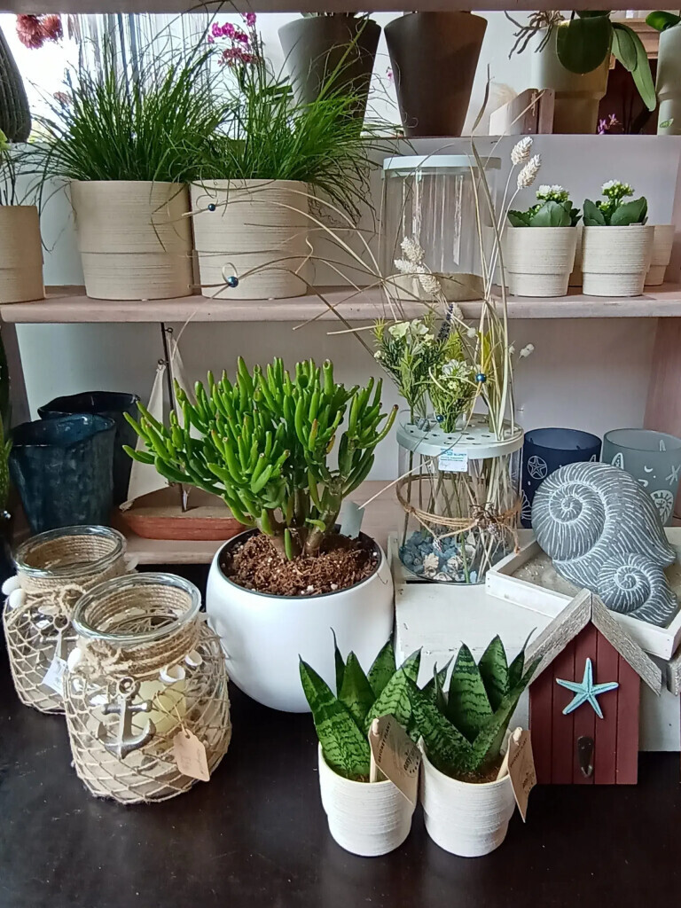 Bilder P S Blumen Inh. Petra Schleßelmann