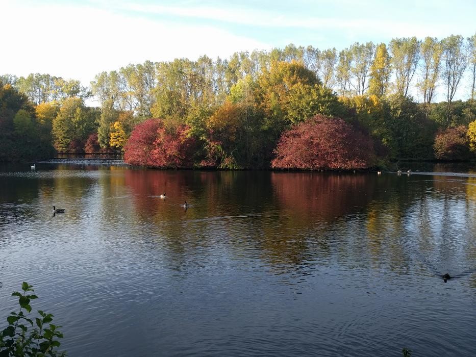 Bilder Pension Boehr