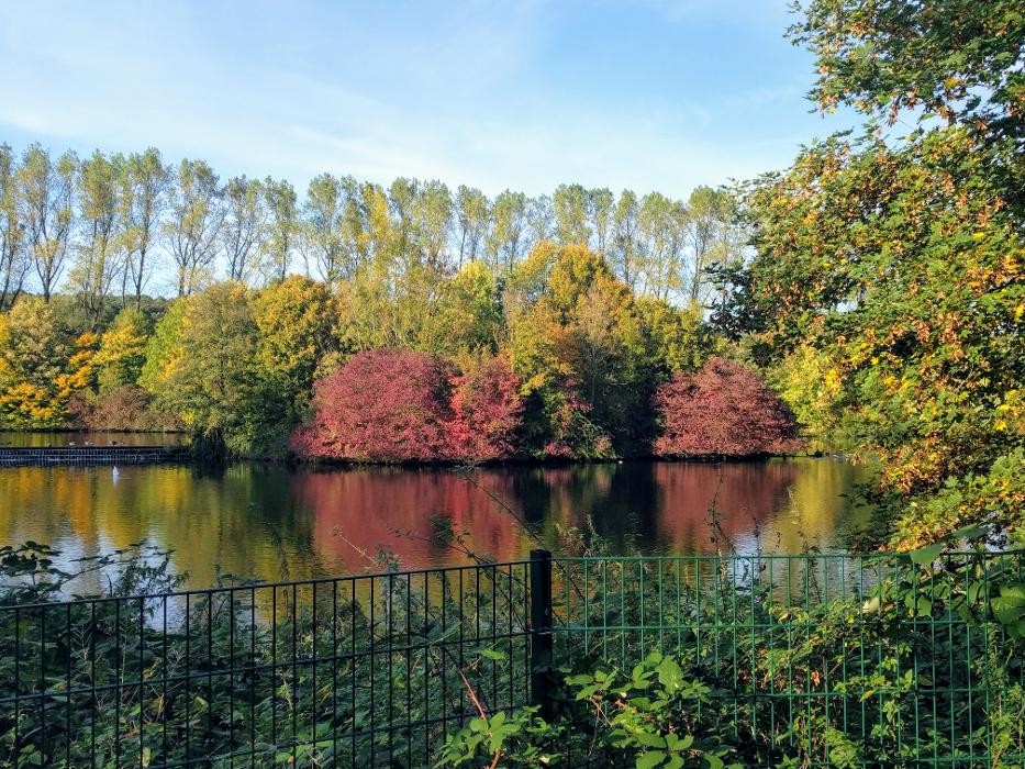 Bilder Pension Boehr