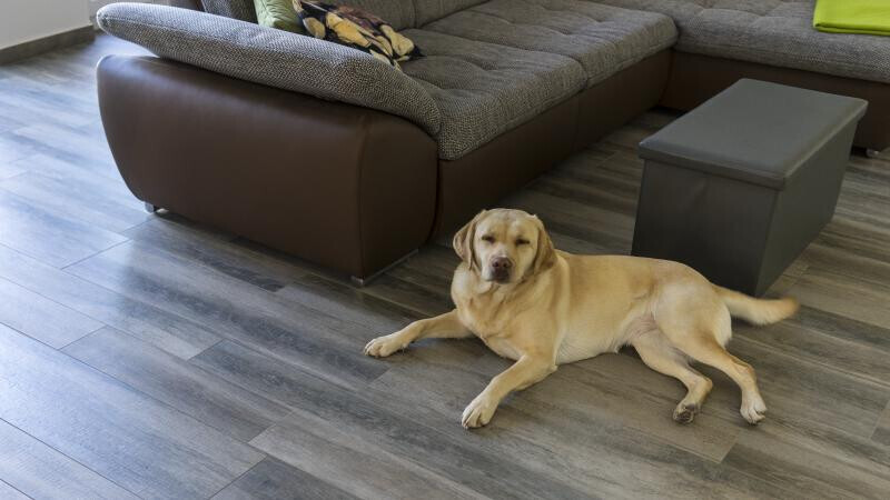 Bilder Fliesen-Keramik Wunsch GmbH