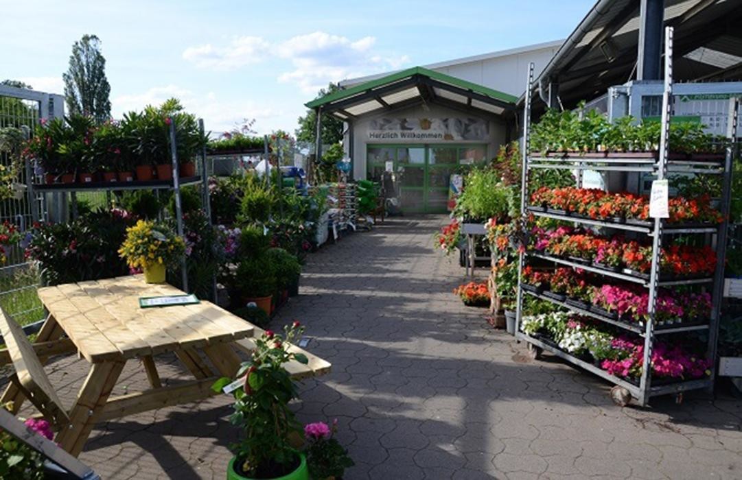 Bilder Raiffeisen-Markt Osterwald