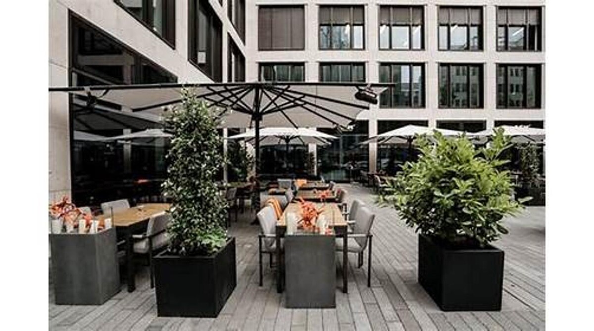 Bilder The ASH Frankfurt