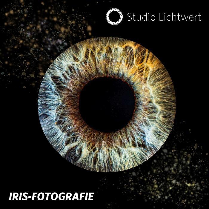 Bilder Studio Lichtwert