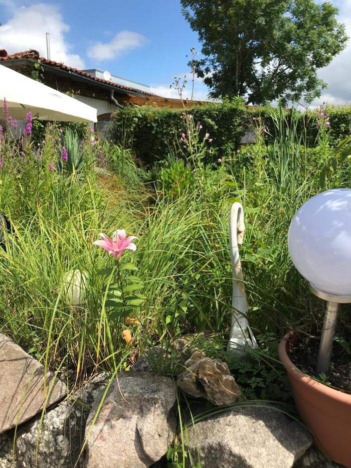 Bilder Restaurant Kastell