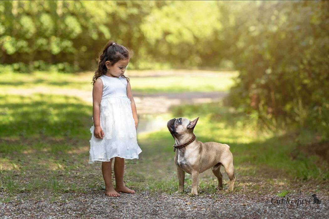 Bilder Outdoorpixl - Tierfotografie