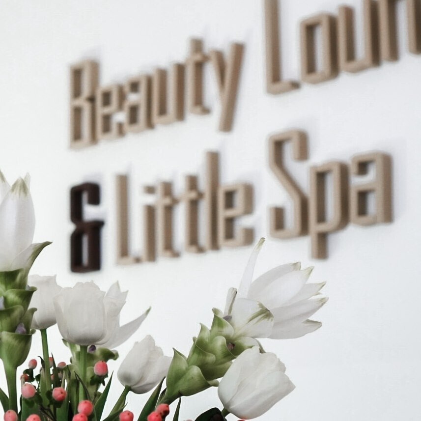 Beauty Lounge & Little Spa Logo