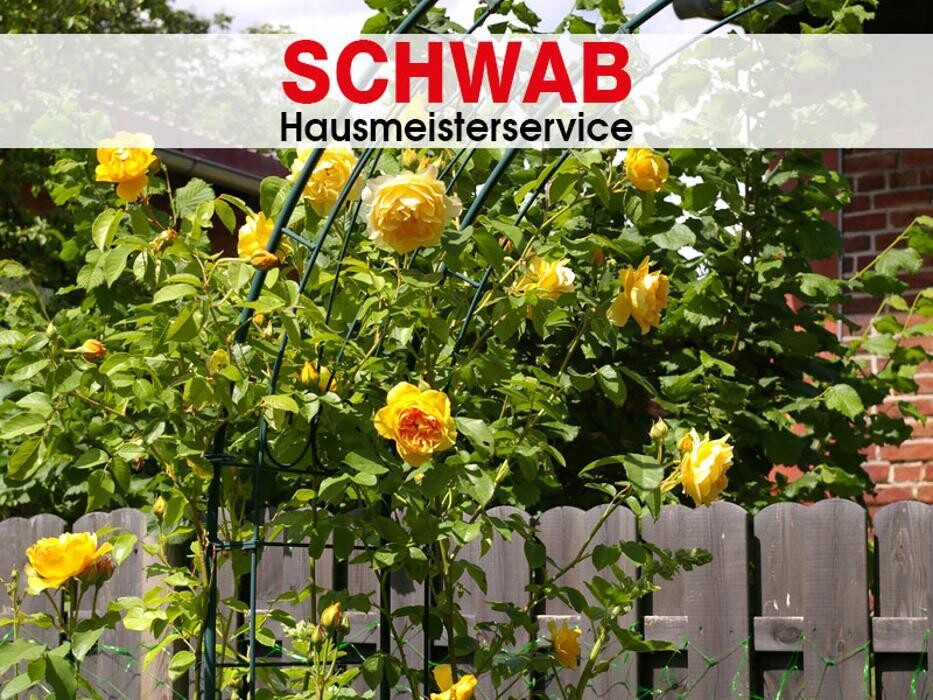 Bilder Waldemar Schwab