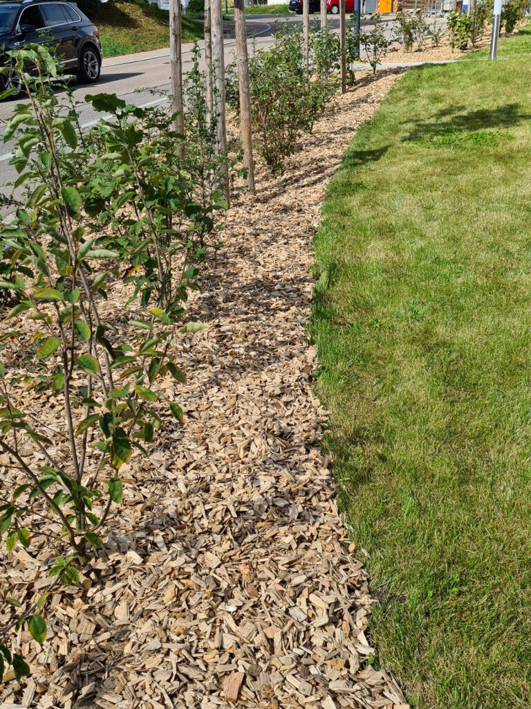 Bilder NOTO Gebäudereinigung GmbH