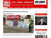 Screenshot for www.dielinke-mkk.de