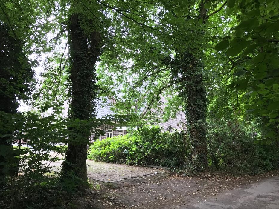 Bilder dS Hotel Gronau / Restaurant