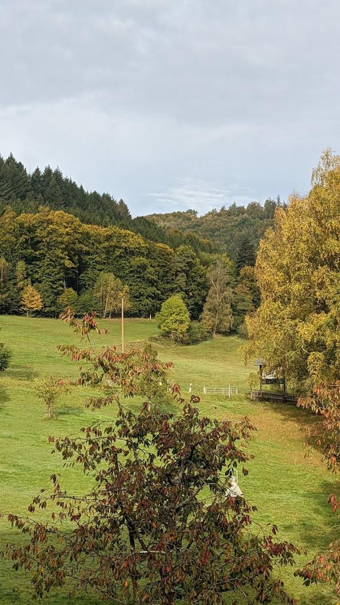 Bilder Landgasthof Linkenmühle