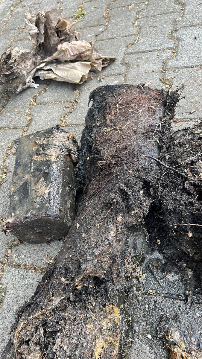 Bilder Kanal Greulich GmbH