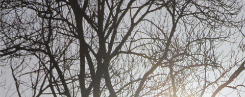 Bilder Seifert Bestattungen