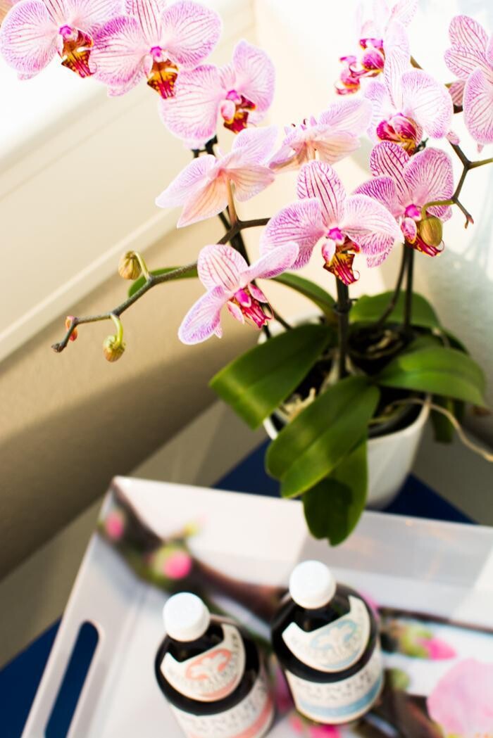 Bilder Dr. Maßberg Zahnarzt