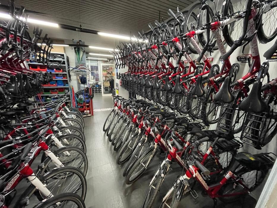 Bilder RENT A BIKE - FAHRRADVERLEIH / BIKEAMBULANZ