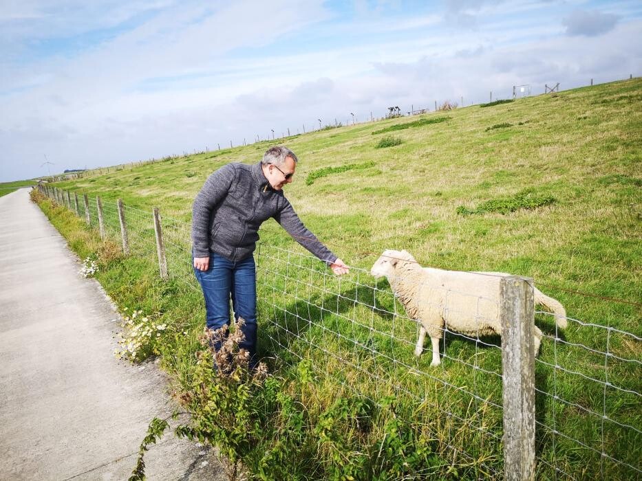 Bilder Müller Immobilien Ostfriesland