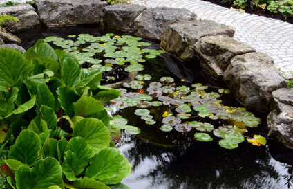 Bilder Kuns im Garten - Kunst und Garten