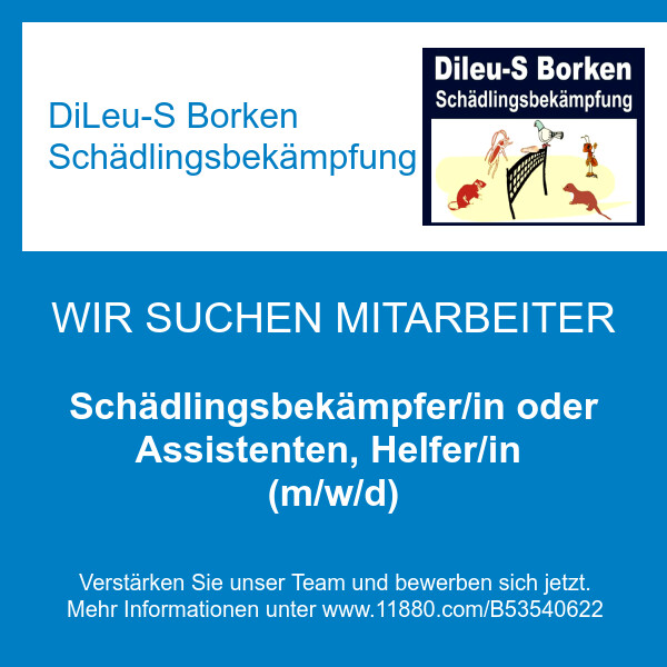 Bilder DiLeu-S Borken Schädlingsbekämpfung