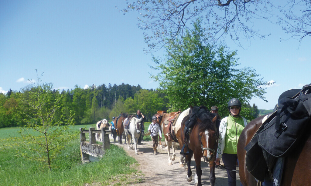 Bilder Reiterhof Aschbach Susanne Fuß