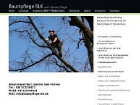 Baumpflege-SLK website screenshot