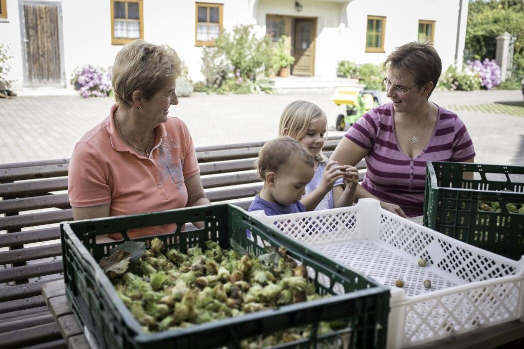 Bilder Martls Haselnuss Shop GbR