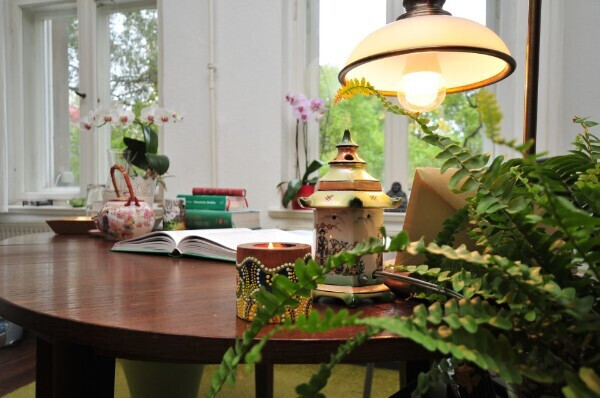 Bilder Naturheilpraxis Boldt