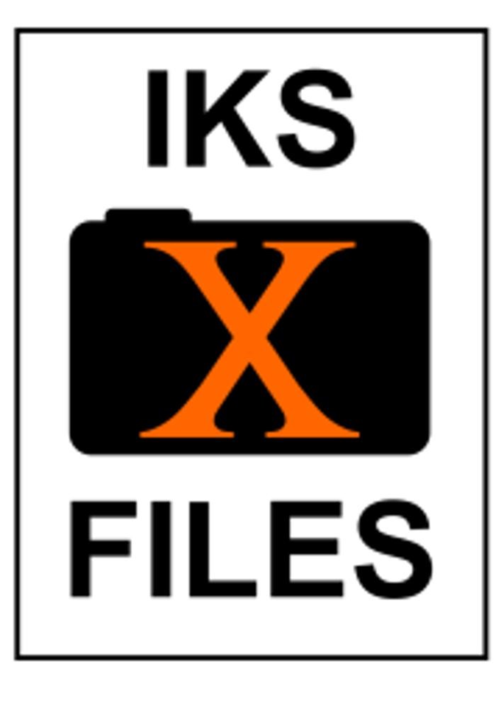 IKS-Files Digital Data Services Feliks Kelek Logo