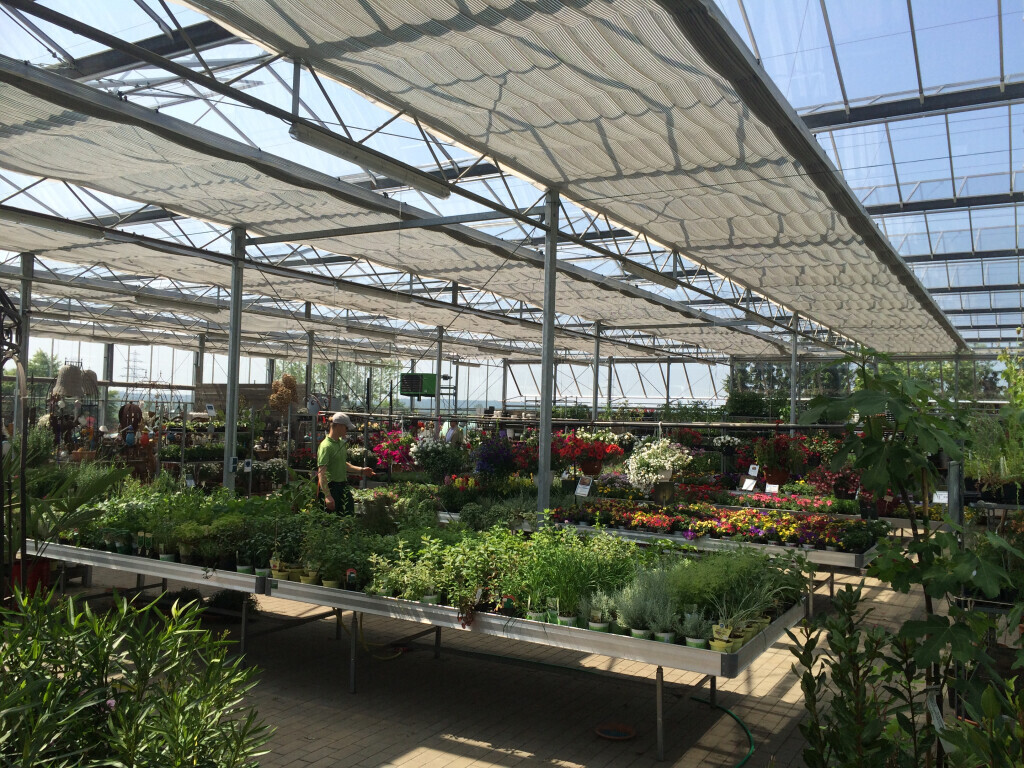 Bilder Saalebaumschule