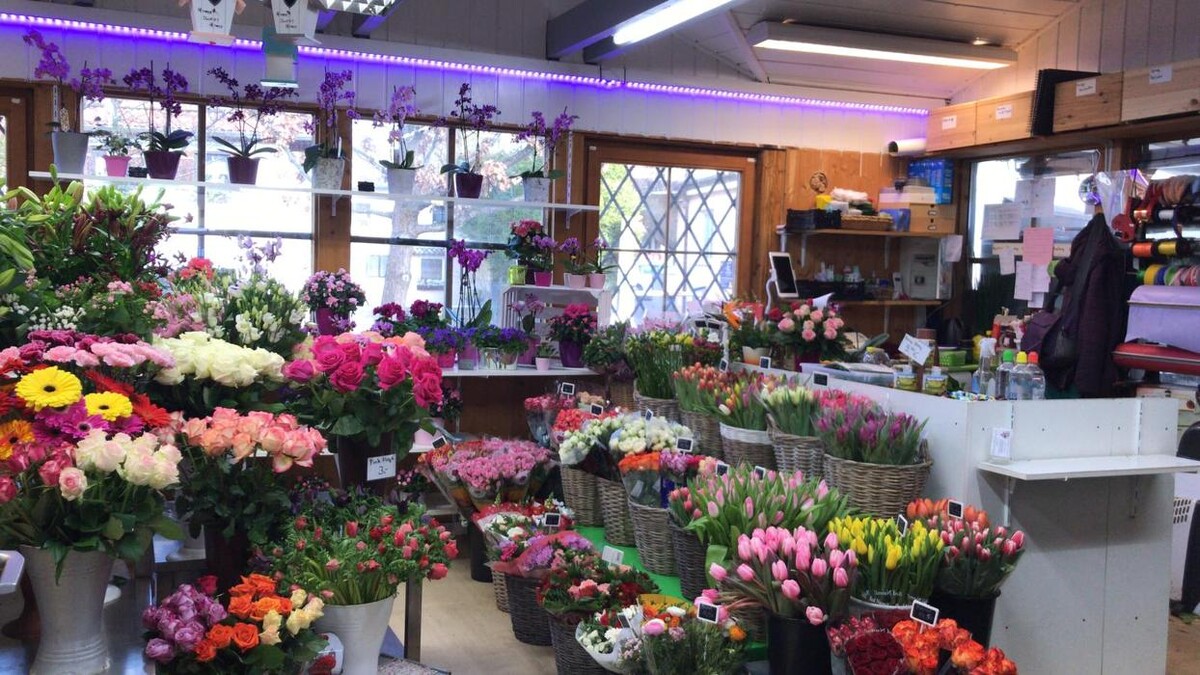 Bilder Grünwalder Blumenmarkt