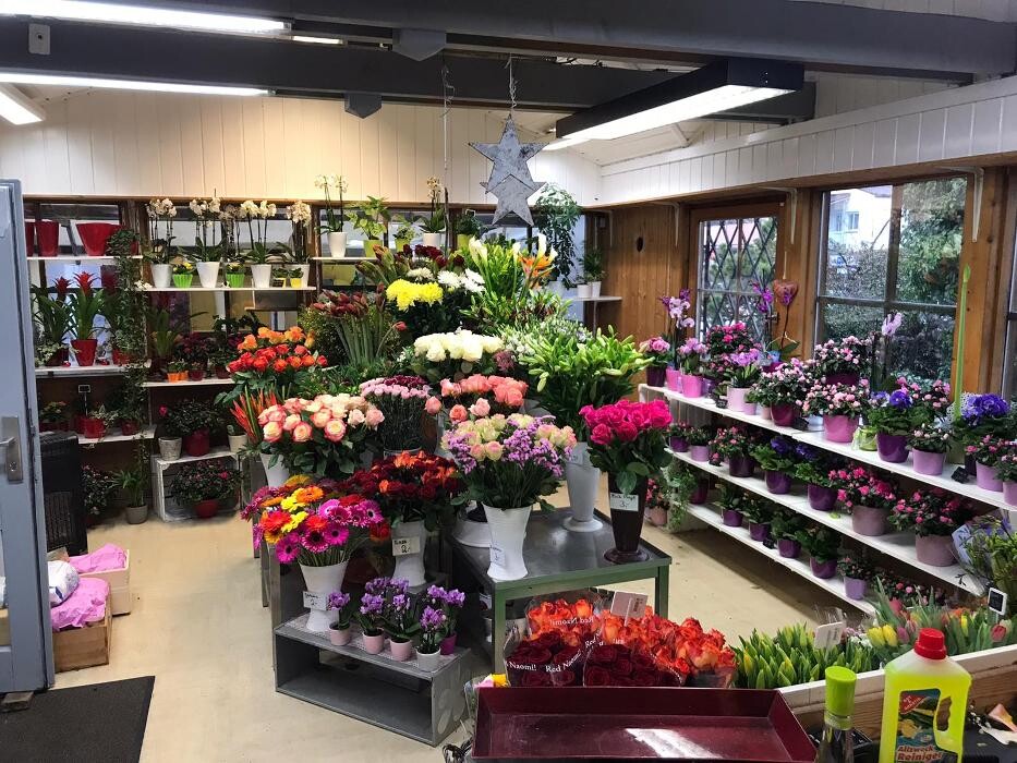 Bilder Grünwalder Blumenmarkt