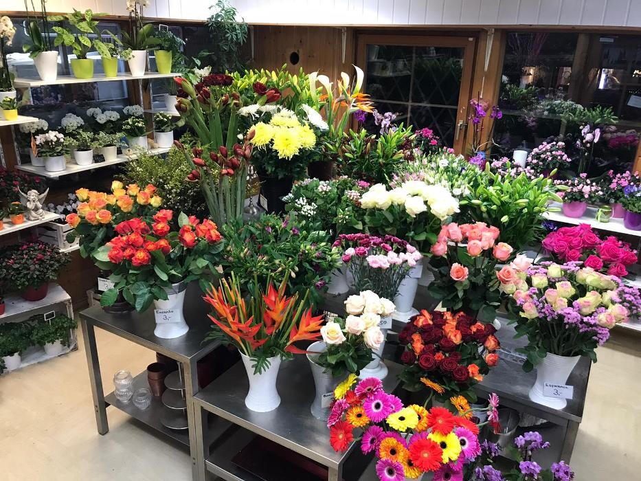 Bilder Grünwalder Blumenmarkt
