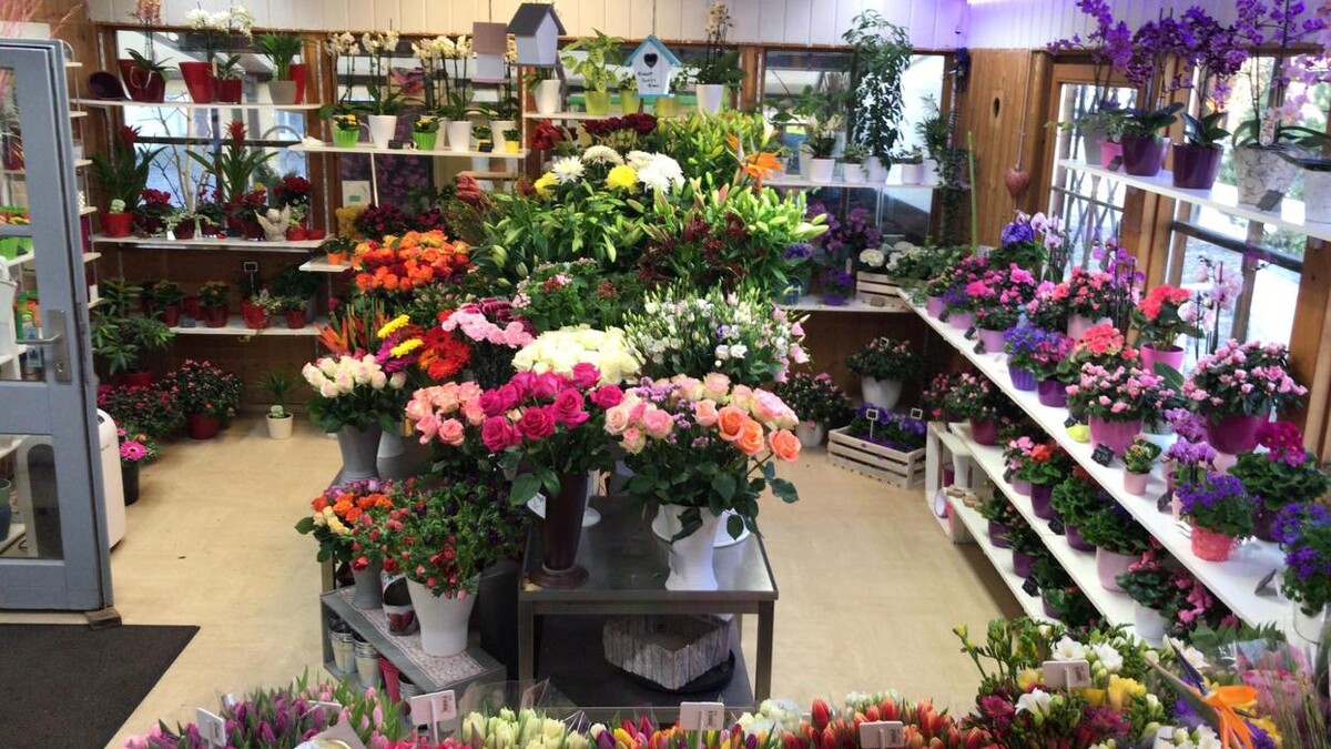 Bilder Grünwalder Blumenmarkt