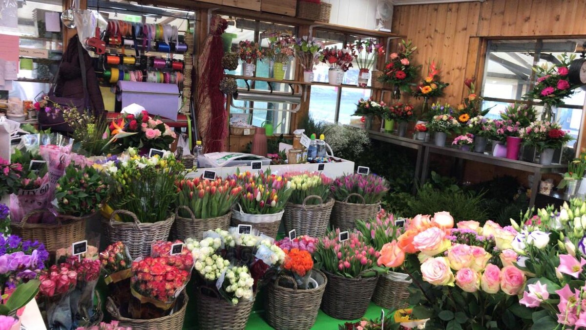Bilder Grünwalder Blumenmarkt