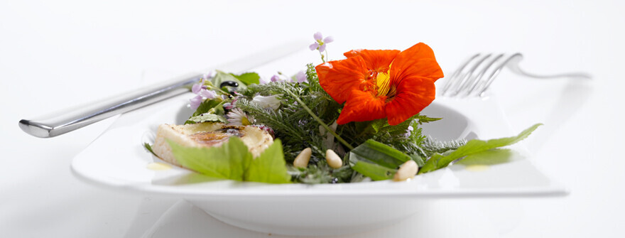 Bilder Luchterhand Bio-Catering