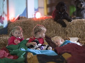 Bilder Kinderbauernhof Wigger