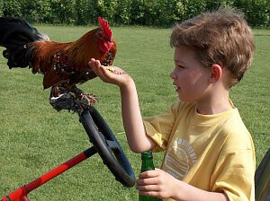 Bilder Kinderbauernhof Wigger