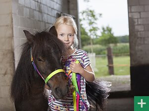Bilder Kinderbauernhof Wigger