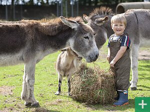 Bilder Kinderbauernhof Wigger