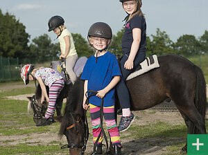 Bilder Kinderbauernhof Wigger
