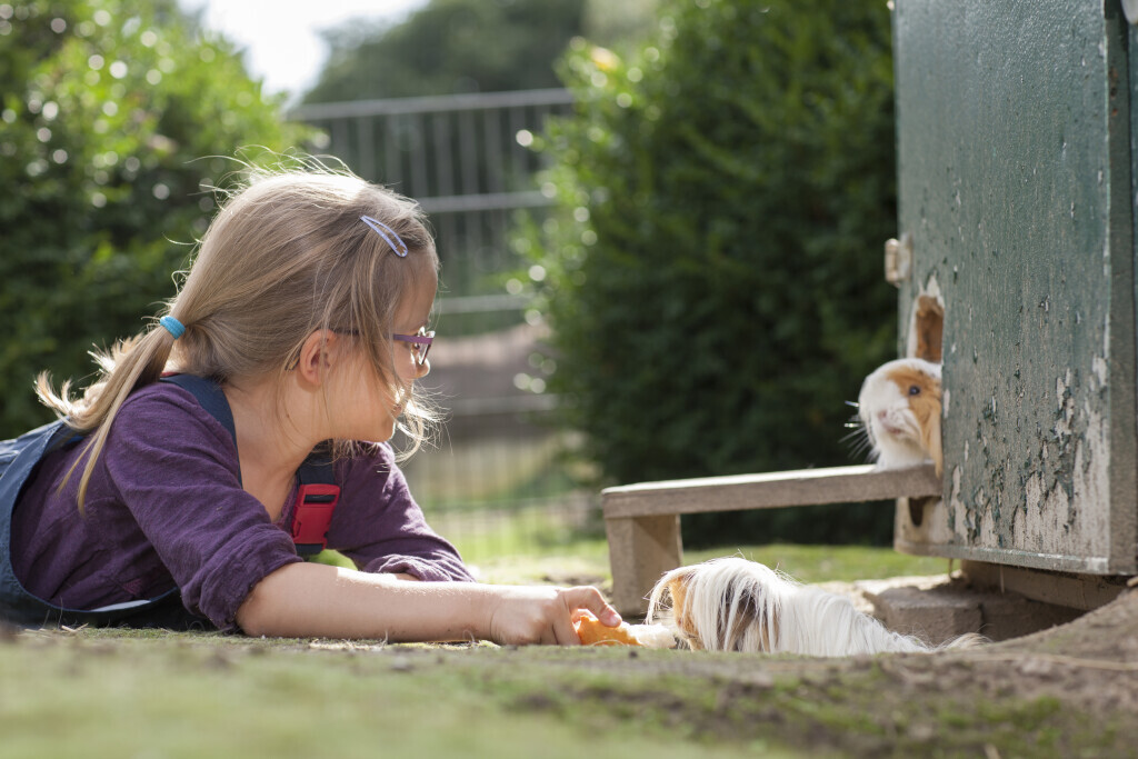 Bilder Kinderbauernhof Wigger