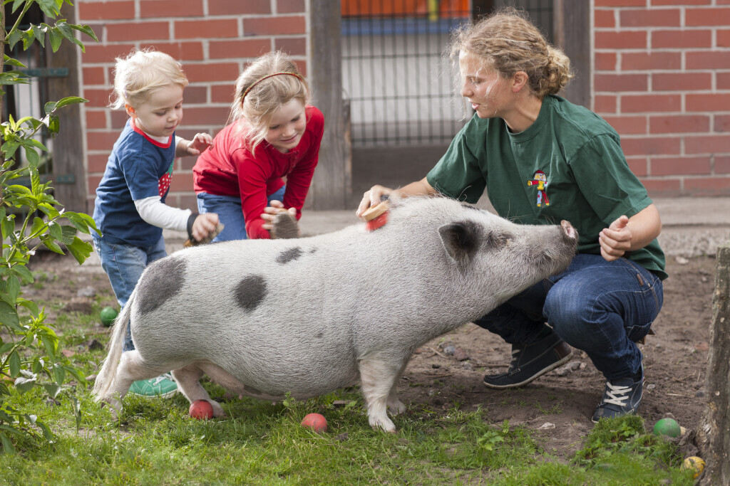 Bilder Kinderbauernhof Wigger