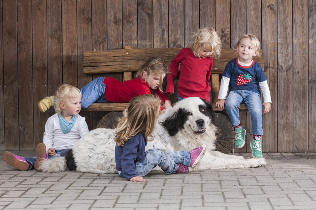 Bilder Kinderbauernhof Wigger