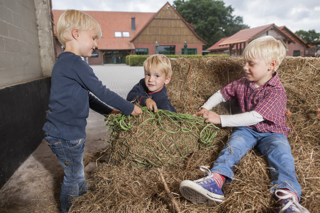 Bilder Kinderbauernhof Wigger
