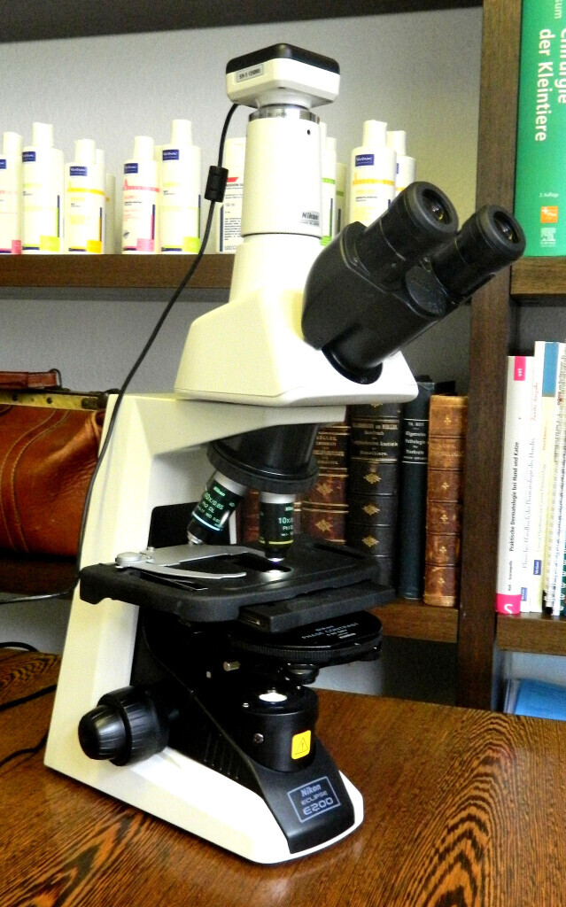 Bilder Tierarztpraxis Dr. med. vet. Benjamin Winkler Tierarzt