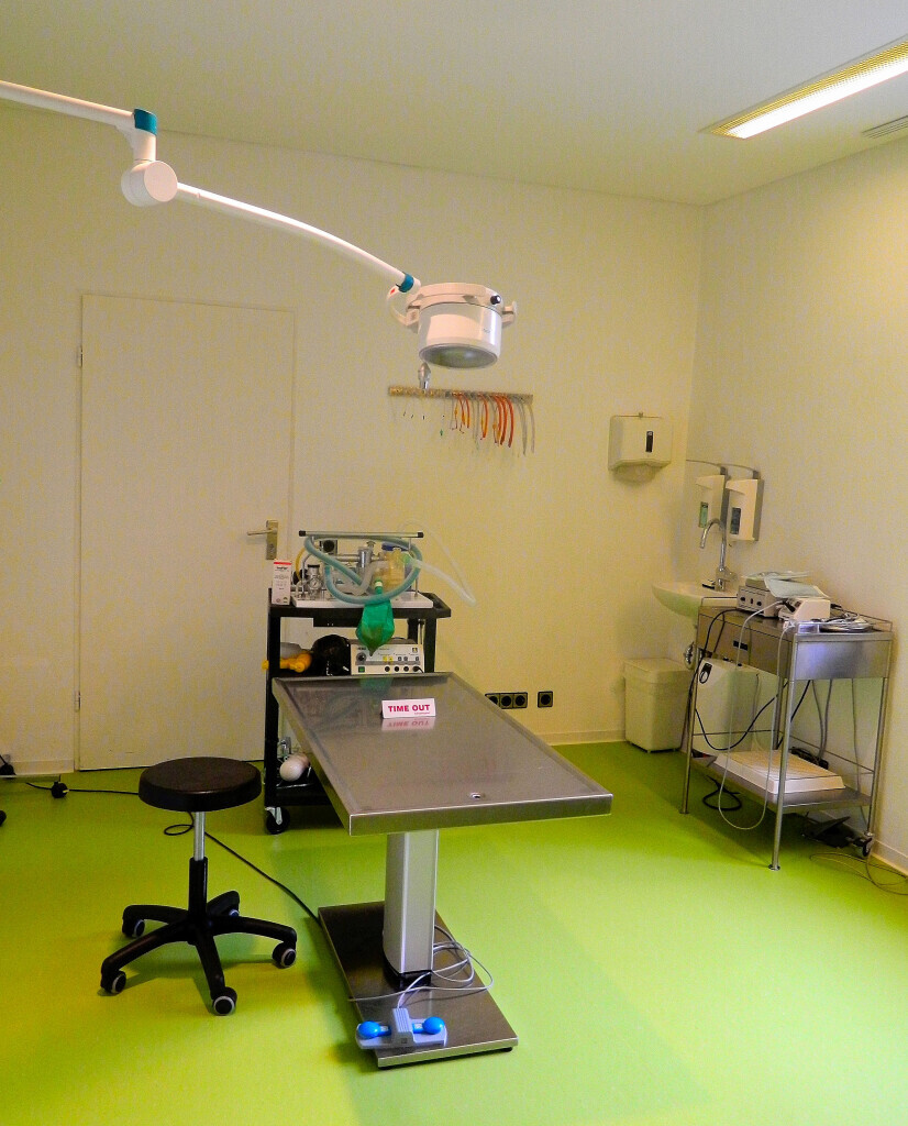 Bilder Tierarztpraxis Dr. med. vet. Benjamin Winkler Tierarzt